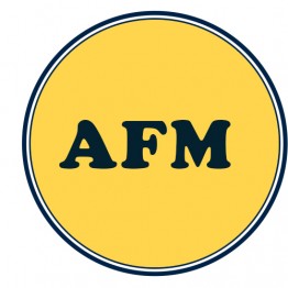 CA Final AFM Fastrack Course New Scheme  By CA Pratik Jagati : Online Classes