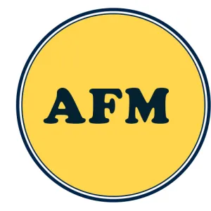 CA Final AFM/SFM Classes