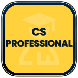 CS Professional Classes