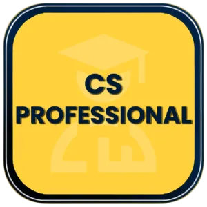 CS Professional Classes