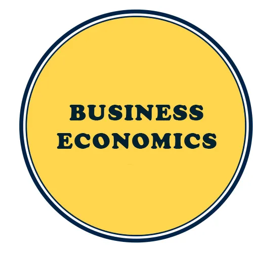CA Foundation Business Economics