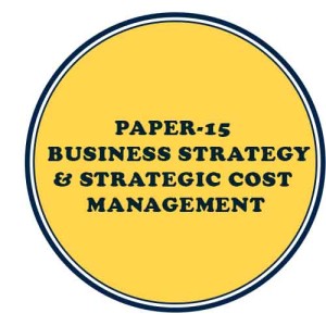 Paper-15 Business Strategy And Strategic Cost Management