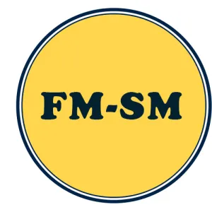 CA Inter FM - SM