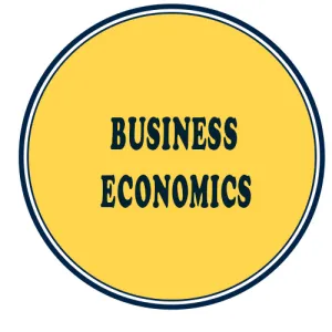 CA Foundation Business Economics