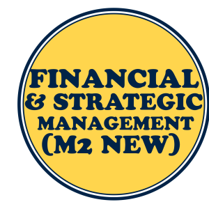 Financial & Strategic Management (M2 New)