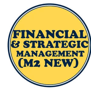 Financial & Strategic Management (M2 New)