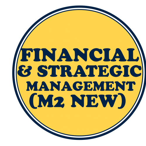 Financial & Strategic Management (M2 New)