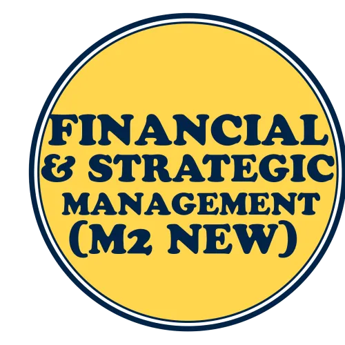 Financial & Strategic Management (M2 New)