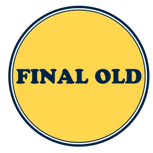 CA Final