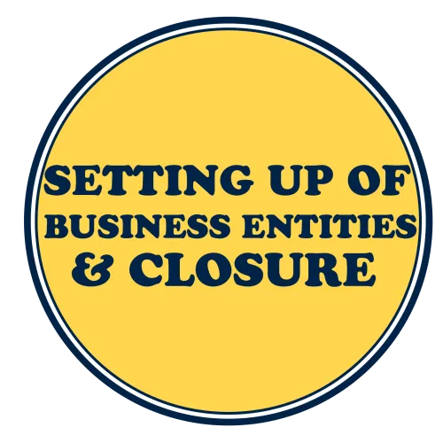 Setting up of Business Entities and Closure