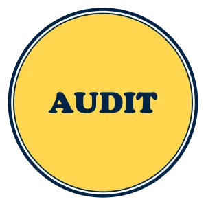 CA Inter Audit