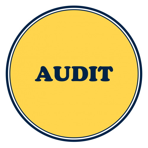 Cost And Management Audit