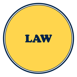 CA Foundation LAW Crash Course