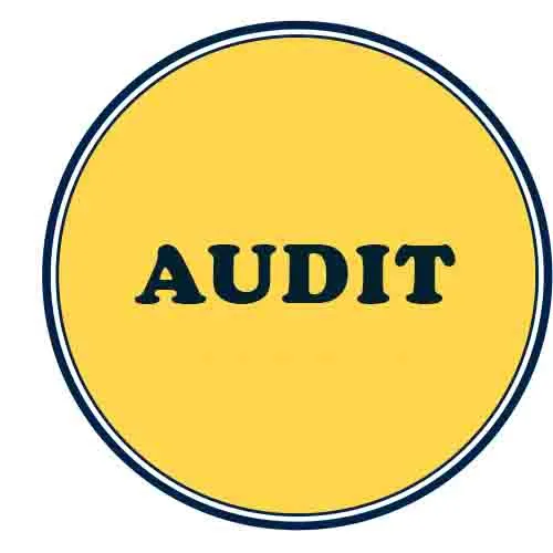 CA Final Audit Crash Course