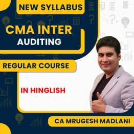 CA Mrugesh Madlani Auditing