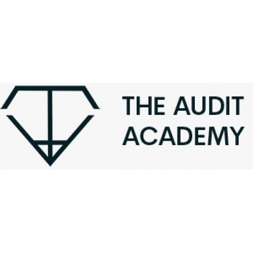 The Audit Academy