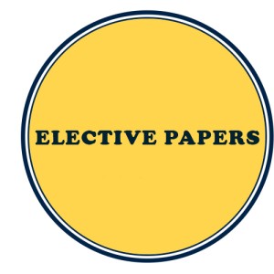 CS Professional Elective Papers