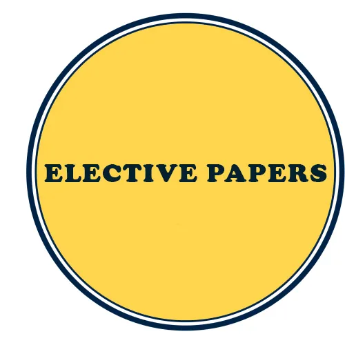 CS Professional Elective Papers