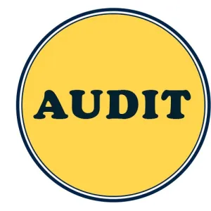 CA Intermediate Audit Crash Courses Online