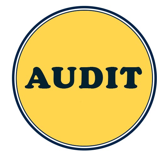 CA Intermediate Audit Crash Courses Online